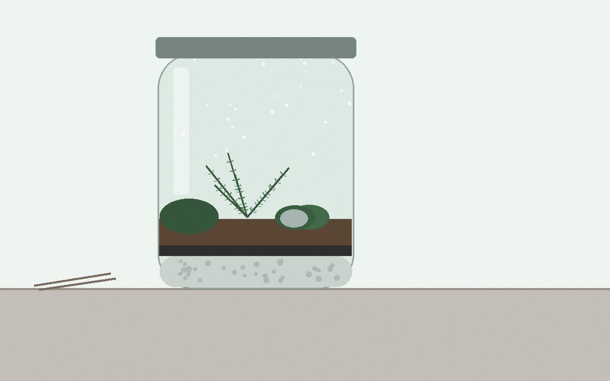 A jar at one month with brightened moss creeping onto a stone and a fern with fresh fronds